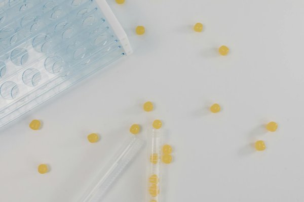 Grossesse et prise de poids : la réalité derrière les chiffres